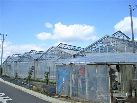 秋池農園|秋池農園 (埼玉県上尾市地頭方 農場)